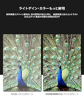 Amazon | プロジェクター スクリーン VIVIDSTORM 4K 8K 3D UHD